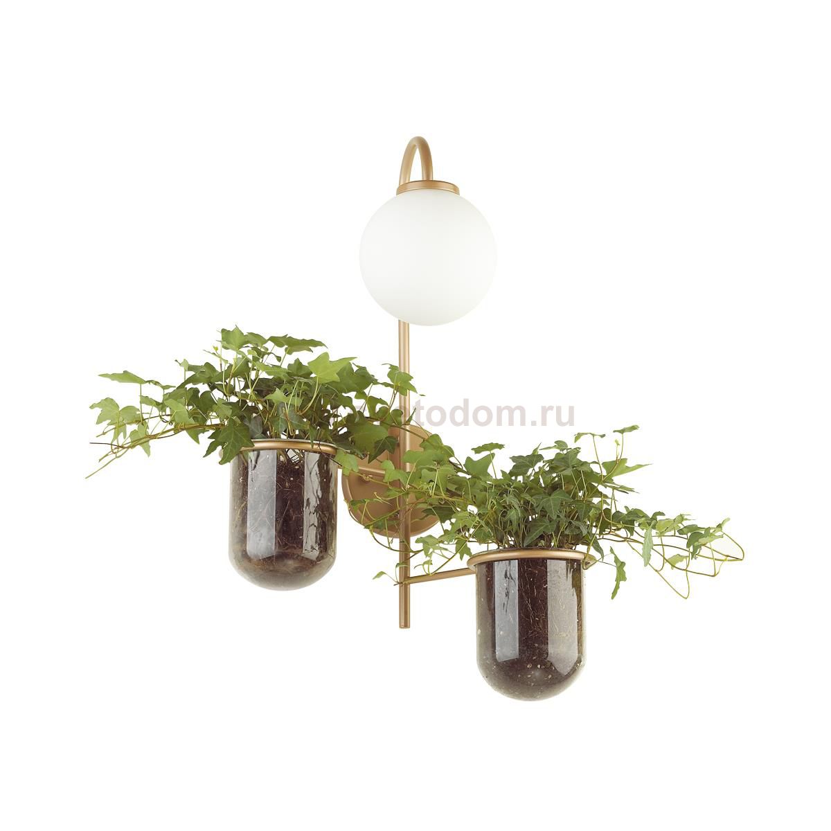 Настенный светильник Odeon light 4682/1W FLOWER