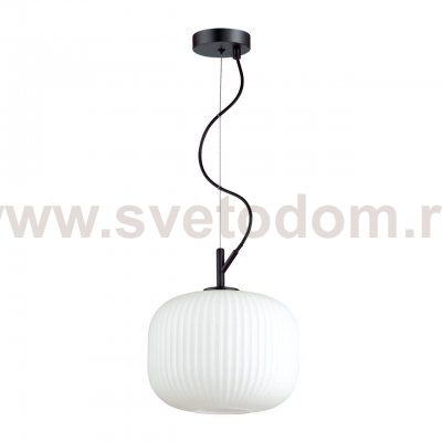 Подвесной светильник Odeon light 4753/1 ROOFI