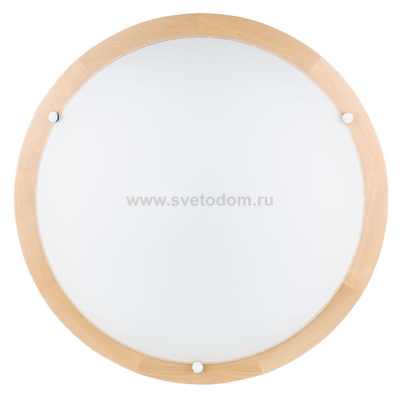 Настенно-потолочный светодиодный светильник Spot Light Frida 4753260