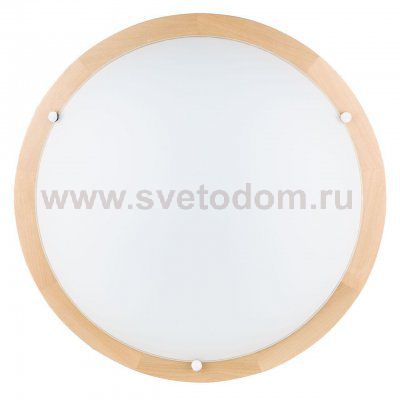 Настенно-потолочный светодиодный светильник Spot Light Frida 4754260