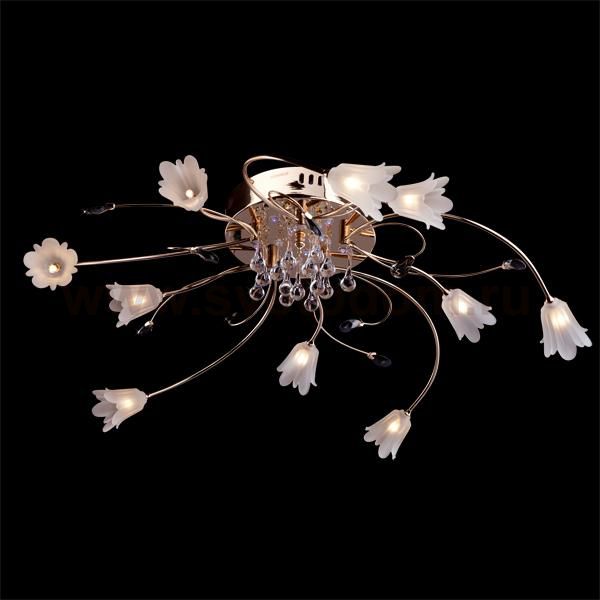 Люстра Eurosvet 4824/10