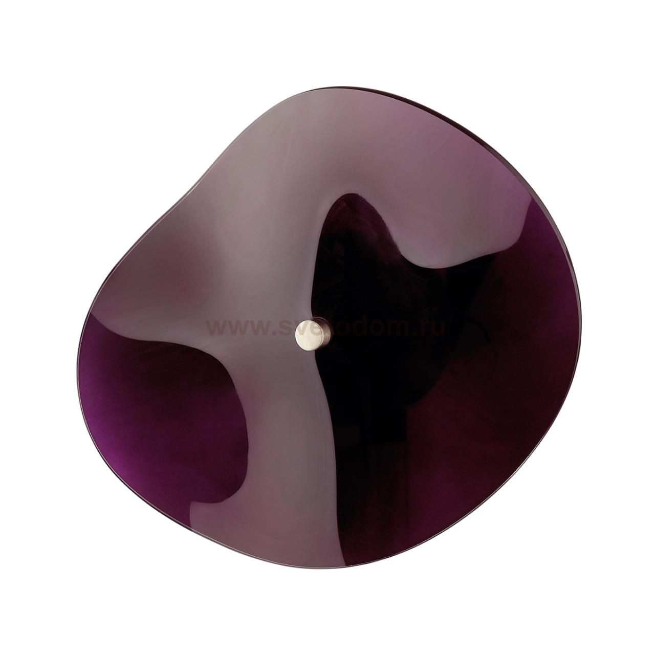 Настенный светильник Odeon light 4857/5WL FLUENT