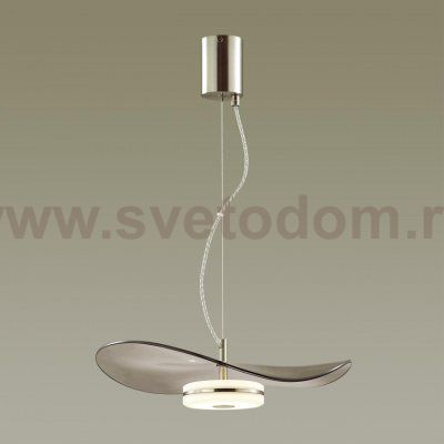 Подвесной светильник Odeon light 4858/13L FLUENT