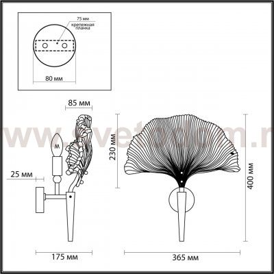 Настенный светильник Odeon light 4870/1W VENTAGLIO