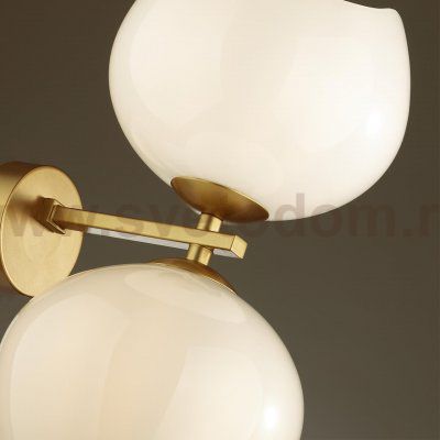 Настенный светильник Odeon light 4873/2W WATERLILY