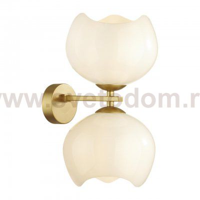 Настенный светильник Odeon light 4873/2W WATERLILY