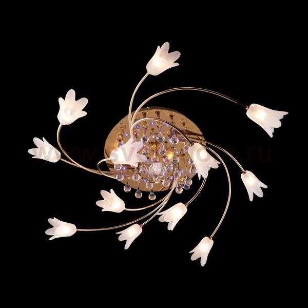 Люстра Eurosvet 4903/13