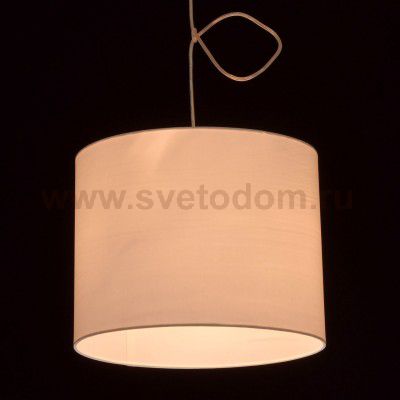 Mw light 493010601 Светильник