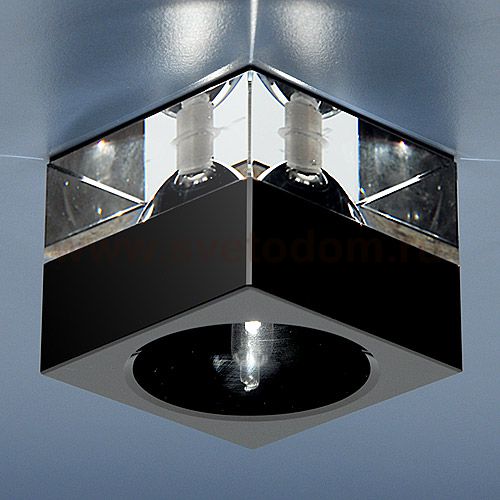 Светильник Elektrostandard 494 BK-WH черный/прозрачный