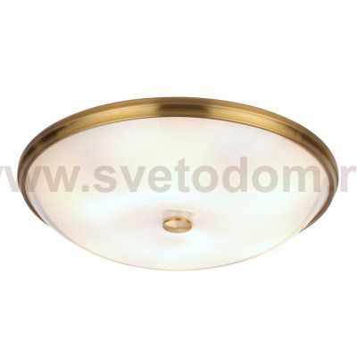 Настенно-потолочный светильник Odeon light 4956/6 PELOW