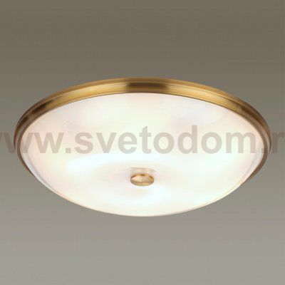Настенно-потолочный светильник Odeon light 4956/6 PELOW