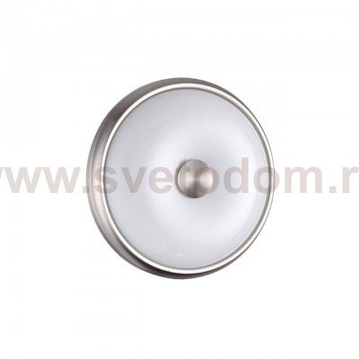 Настенно-потолочный светильник Odeon light 4957/2 PELOW