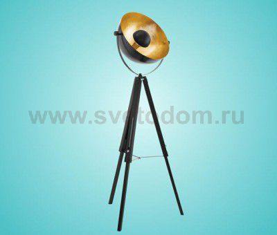 Торшер Eglo 49618