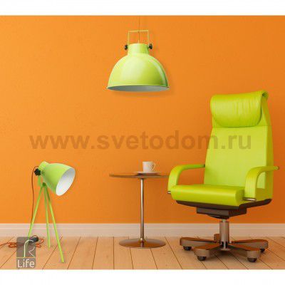 Светильник настольная лампа Mw light 497032601 Хоф/ Hof