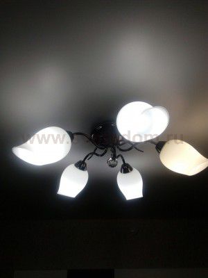 Люстра потолочная Lumion 3076/5C RONDINA