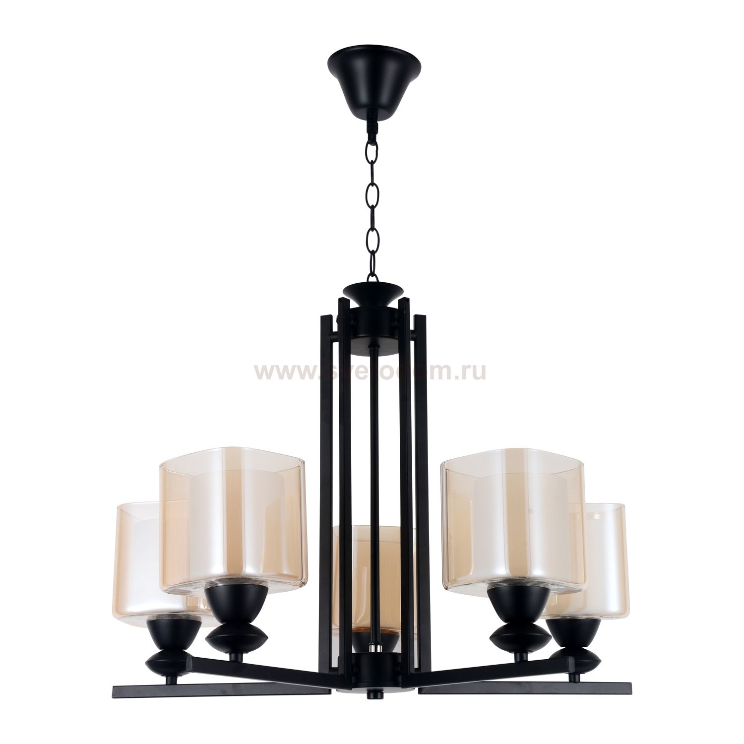 Потолочный светильник Экономсвет 50016/5BK BR+WT