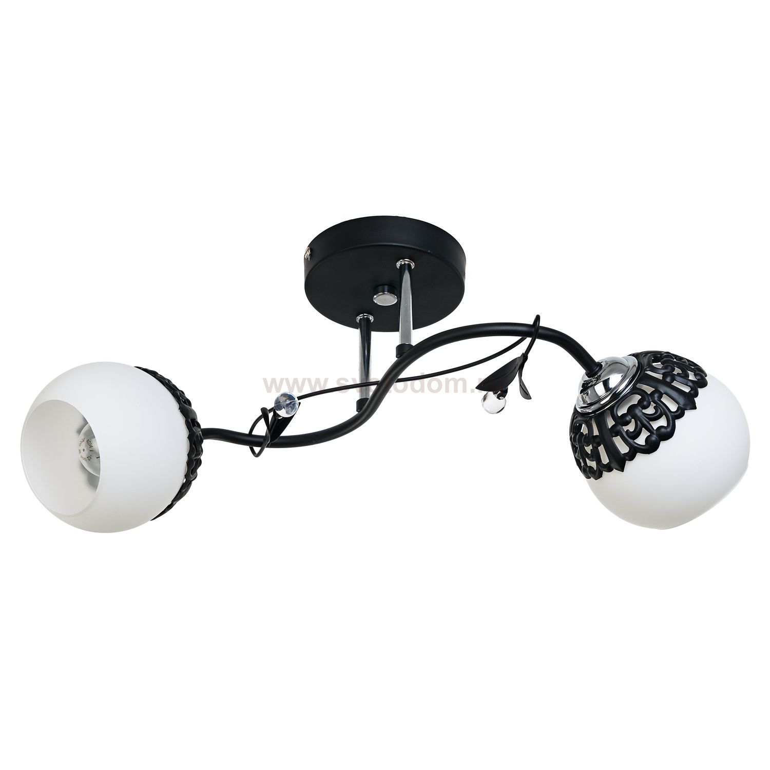 Потолочный светильник Экономсвет 50193/2BK WT