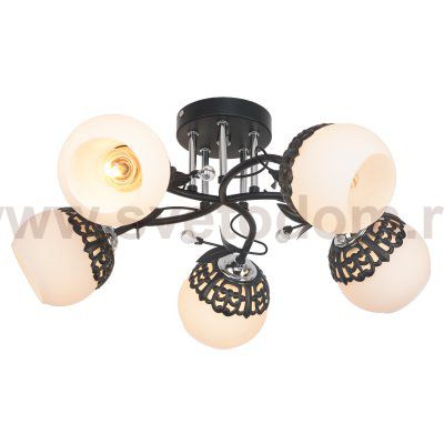 Потолочный светильник Экономсвет 50193/5BK WT