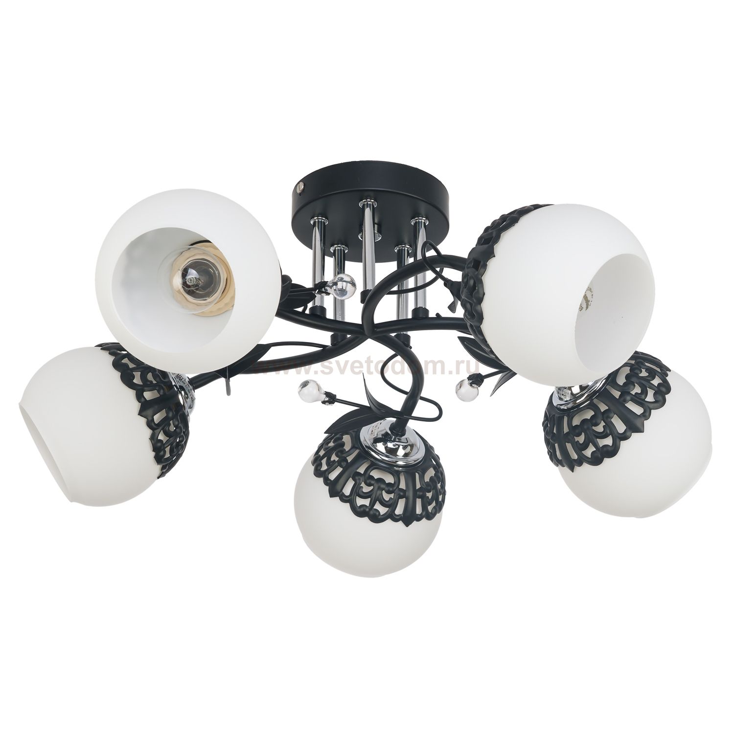 Потолочный светильник Экономсвет 50193/5BK WT