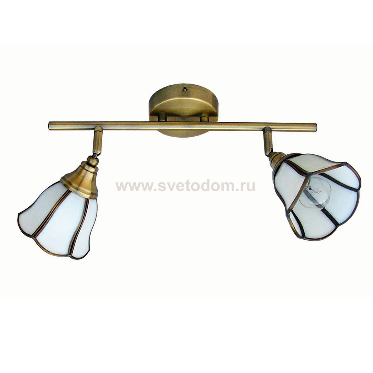 Настенный светильник бра Favourite 5033-2C North Tulip