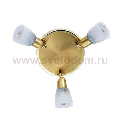 Светильник поворотный спот De markt 504020803 Мона