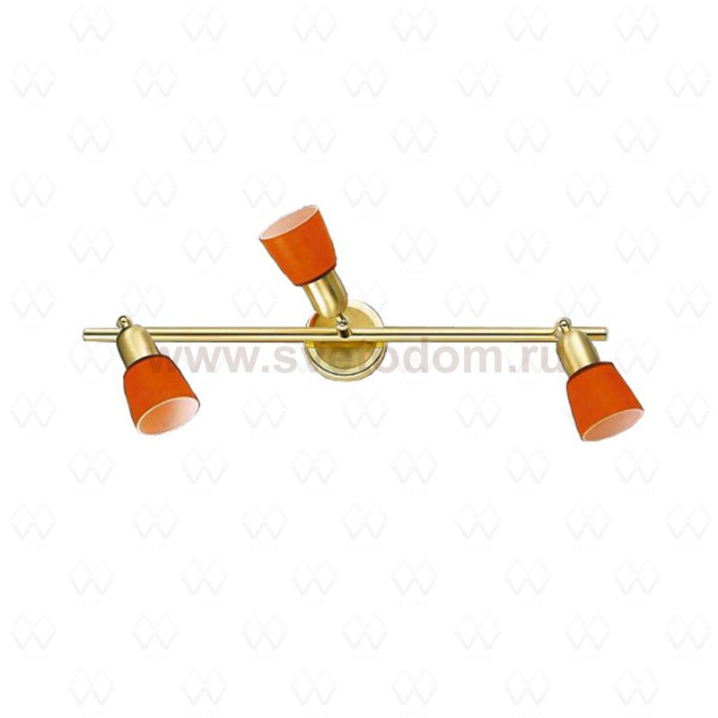 Светильник поворотный спот Mw light 504023103 Мона