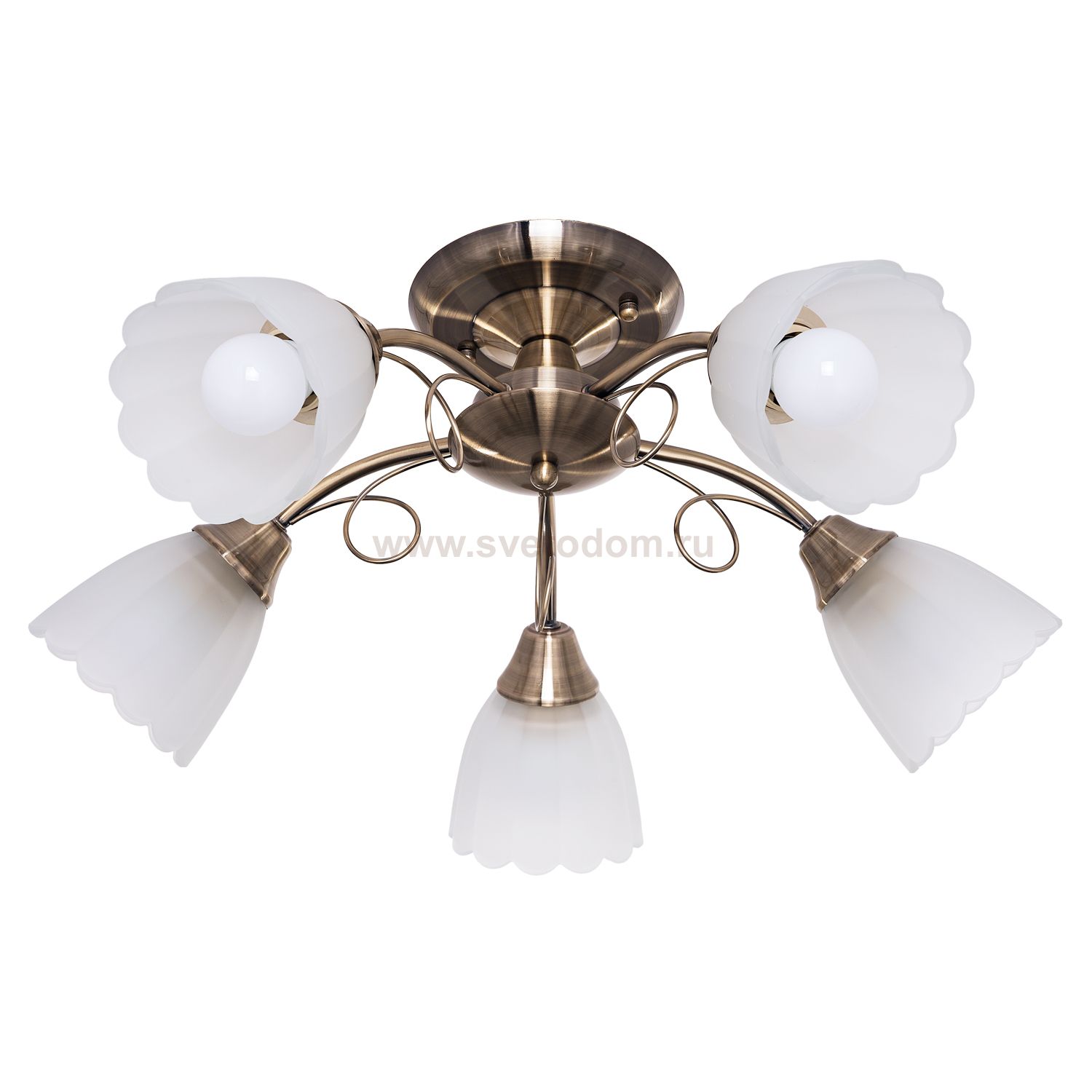 Люстра эконом Экономсвет 50441/5AB WT