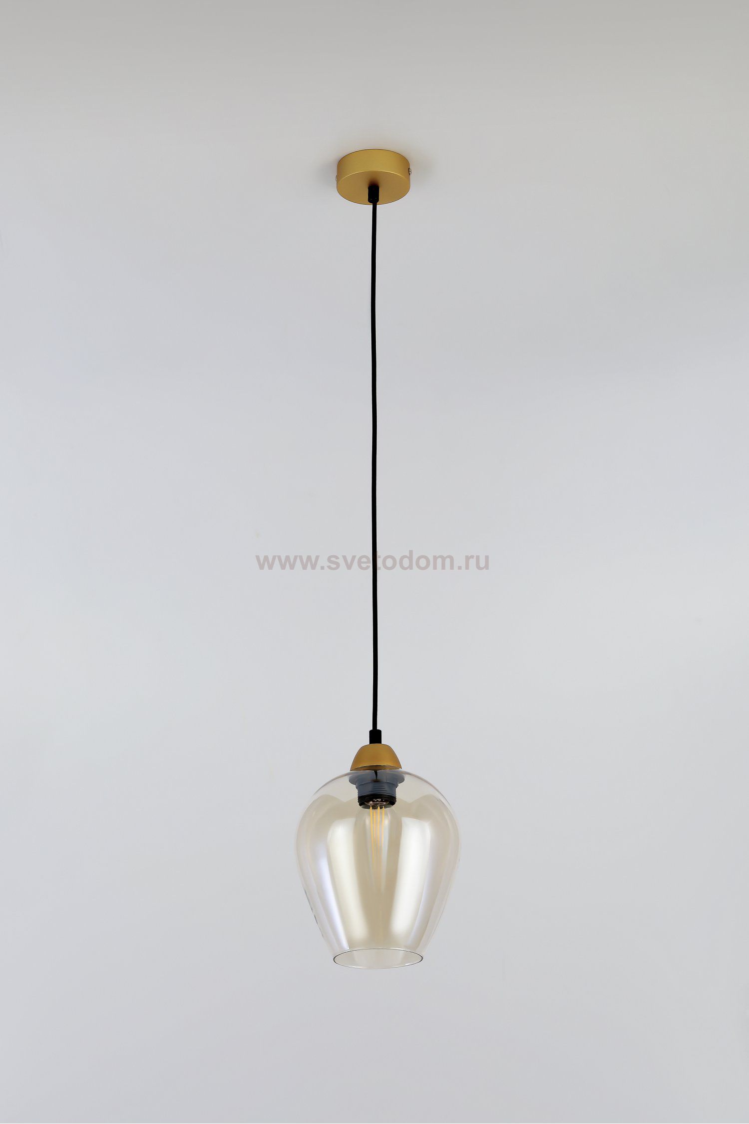 Светильник подвесной (подвес) Rivoli Gera 5045-201 1 х E27 40 Вт