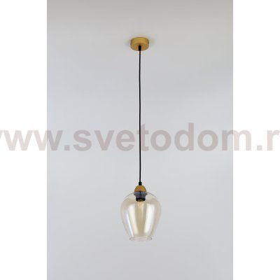 Светильник подвесной (подвес) Rivoli Gera 5045-201 1 х E27 40 Вт