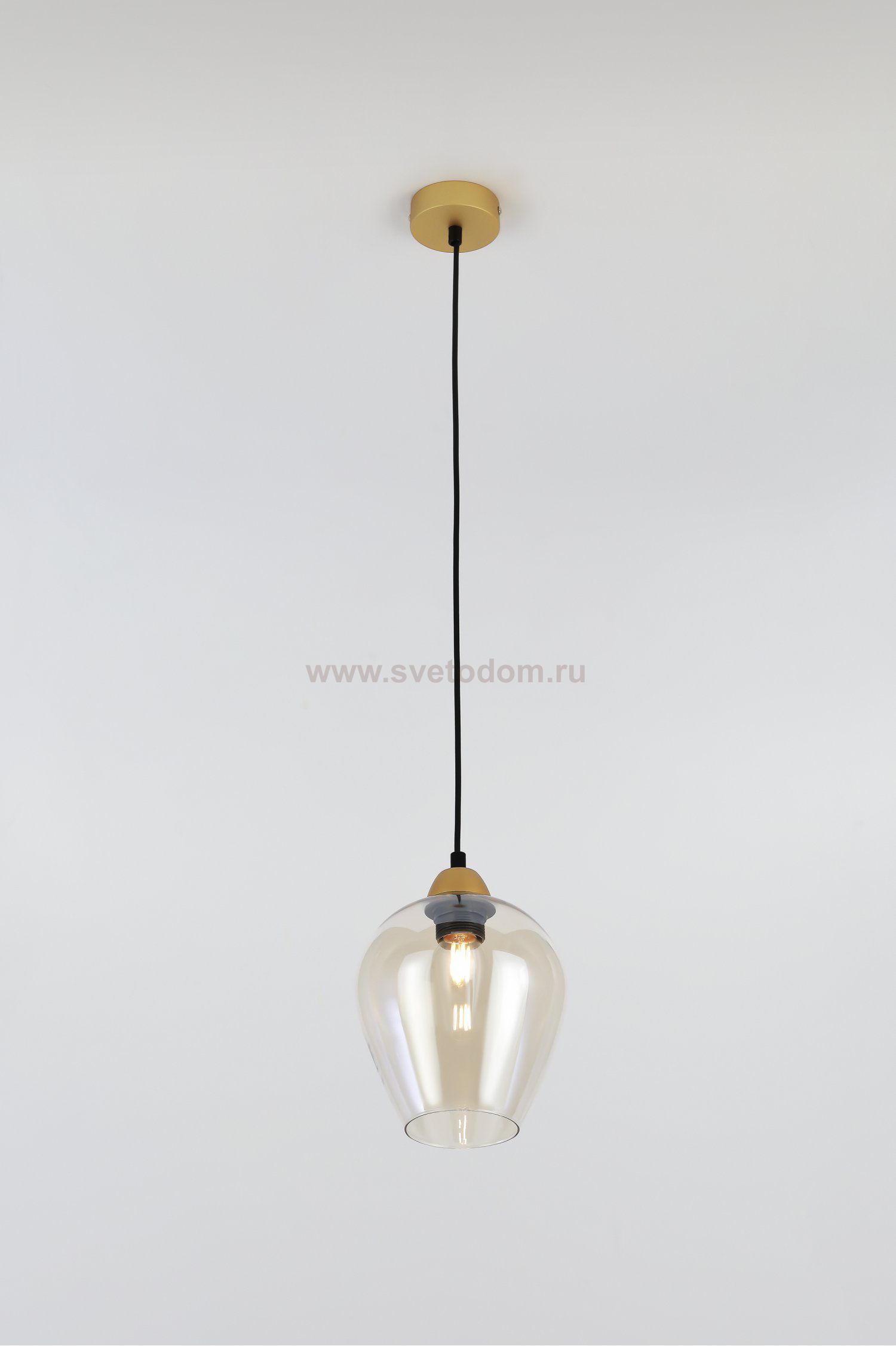 Светильник подвесной (подвес) Rivoli Gera 5045-201 1 х E27 40 Вт