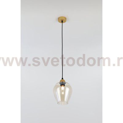 Светильник подвесной (подвес) Rivoli Gera 5045-201 1 х E27 40 Вт