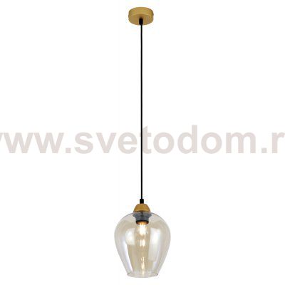 Светильник подвесной (подвес) Rivoli Gera 5045-201 1 х E27 40 Вт
