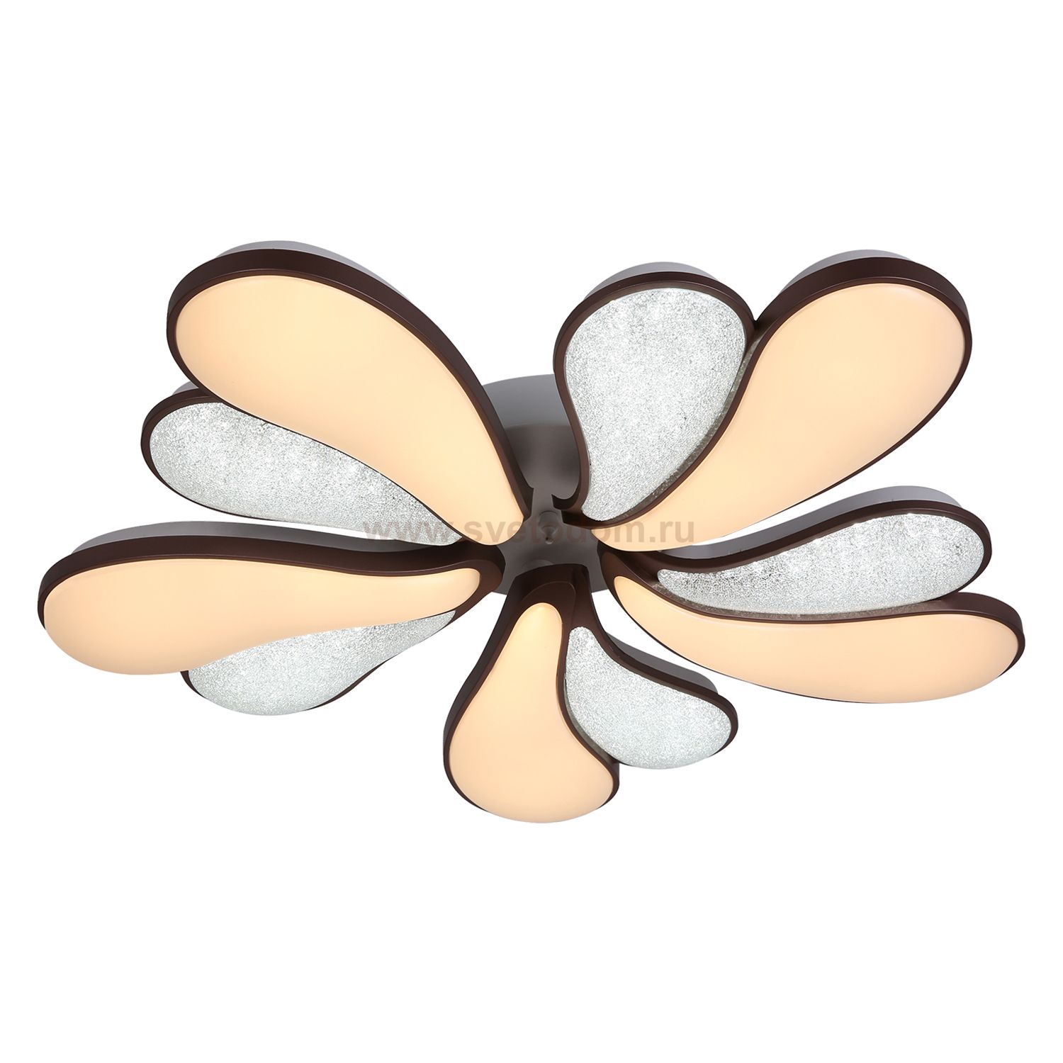 Потолочный светильник Экономсвет 50580/5CF