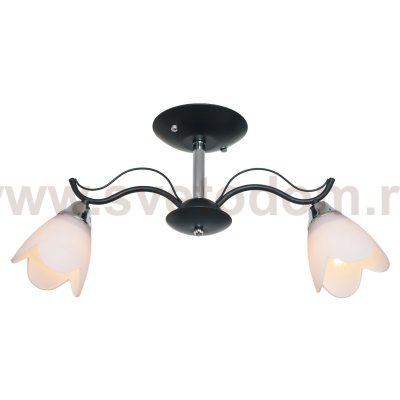 Потолочный светильник Экономсвет 50588/2CR+BK WT