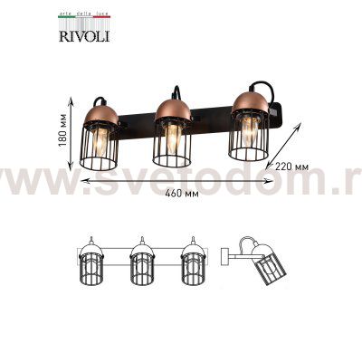 Светильник настенно-потолочный спот Rivoli Anemon 5062-703 поворотный 3 х E27 40 Вт лофт - кантри