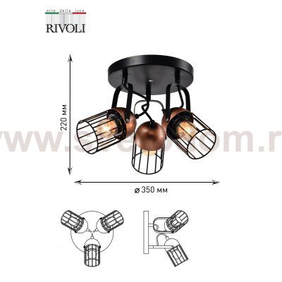 Светильник настенно-потолочный спот Rivoli Anemon 5062-733 поворотный 3 х E27 40 Вт лофт - кантри