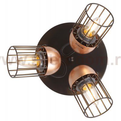 Светильник настенно-потолочный спот Rivoli Anemon 5062-733 поворотный 3 х E27 40 Вт лофт - кантри