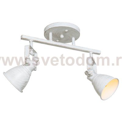 Спотовый светильник Экономсвет 50620/2FGD+WT FGD+WT