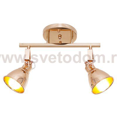 Светильник ЭкономСвет 50620/2GD GD