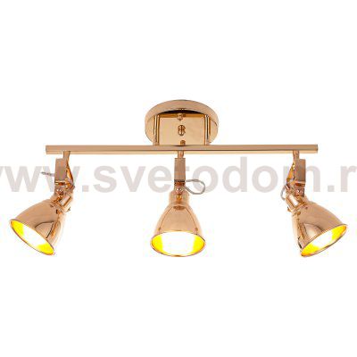 Светильник ЭкономСвет 50620/3GD GD