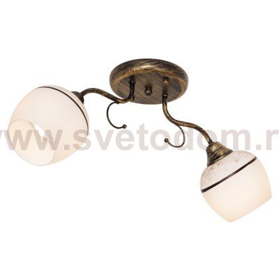 Потолочный светильник Экономсвет 50626/2BG PNT