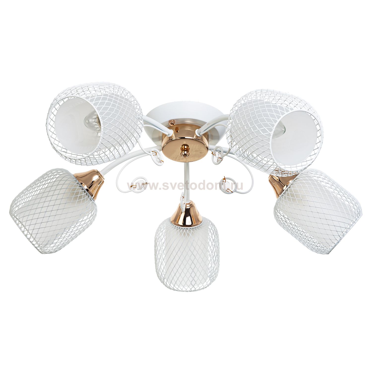 Потолочный светильник Экономсвет 50680/5FGD+WT WT