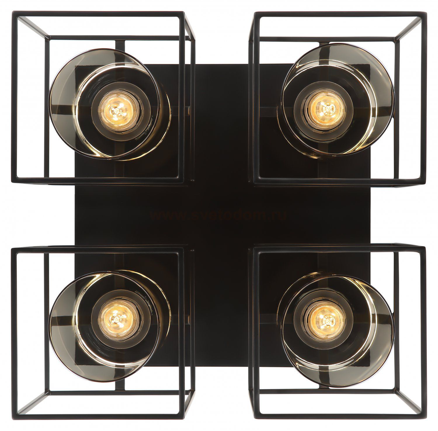 Светильник потолочный Rivoli Leonie 5081-304 4 * Е27 40 Вт лофт кантри