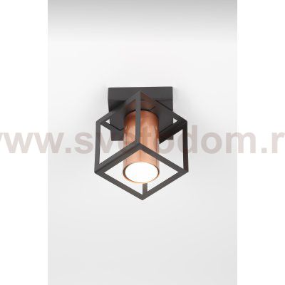 Светильник потолочный Rivoli Raffaela 5082-201 1 * GU10 25 Вт накладной для натяжных потолков лофт - кантри