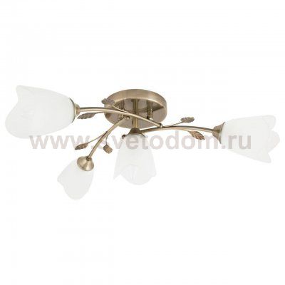 Потолочная люстра Spot Light Stilo 5083411