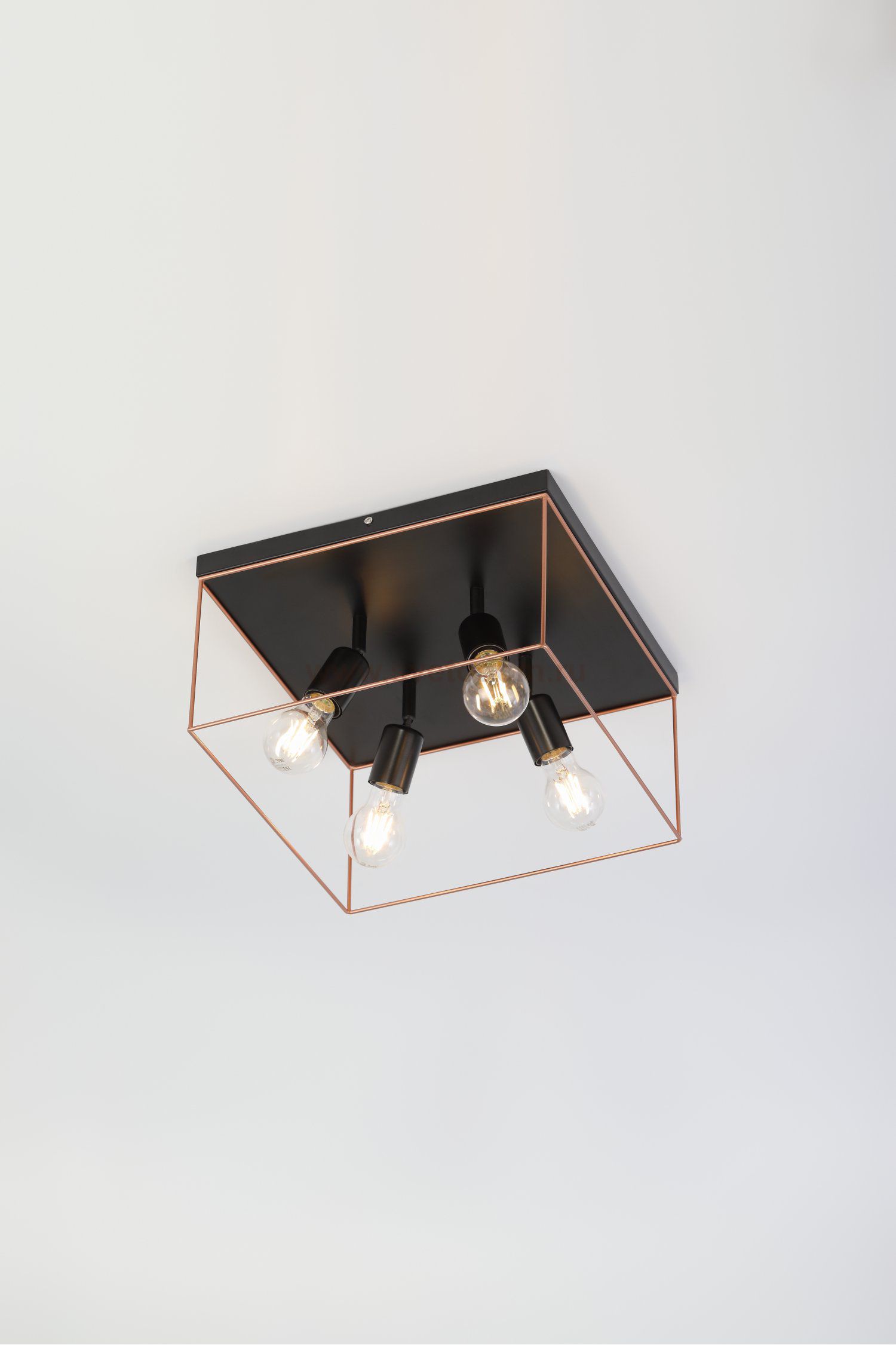 Светильник потолочный Rivoli Teresa 5085-304 4 х Е27 40 Вт лофт - кантри