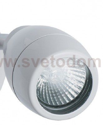 Светильник поворотный спот Mw light 509023201 Аква