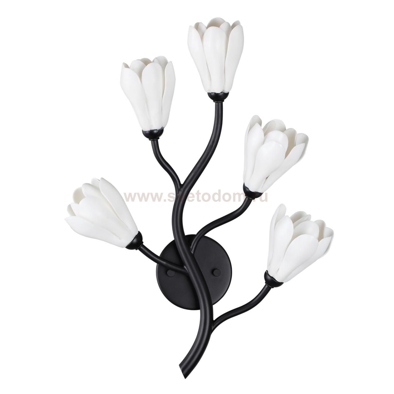 Светильник настенный бра Odeon light 5090/5W GARDI