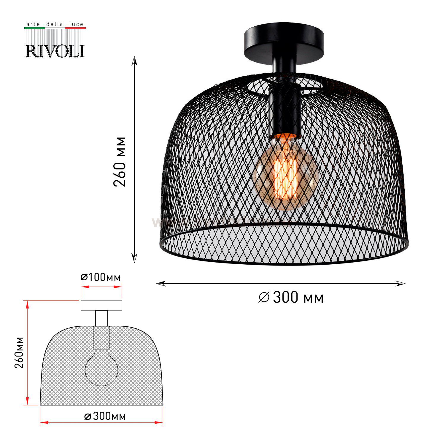 Светильник потолочный Rivoli Armina 5095-201 1 х Е27 40 Вт лофт-кантри для натяжных потолков