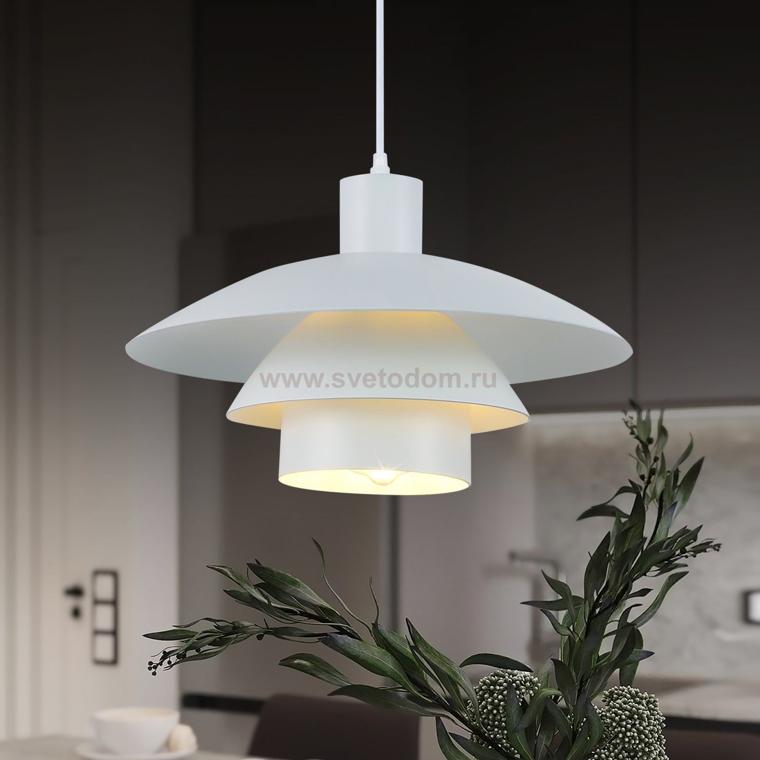 Светильник подвесной (подвес) Rivoli Xenobia 5097-201 1 х Е27 40 Вт лофт - кантри потолочный